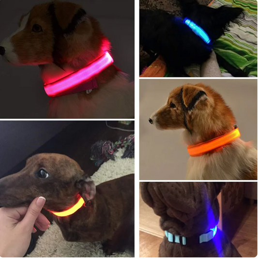 LED Safety Dog Collar