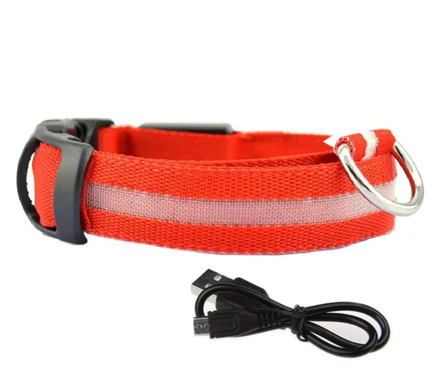 LED Safety Dog Collar