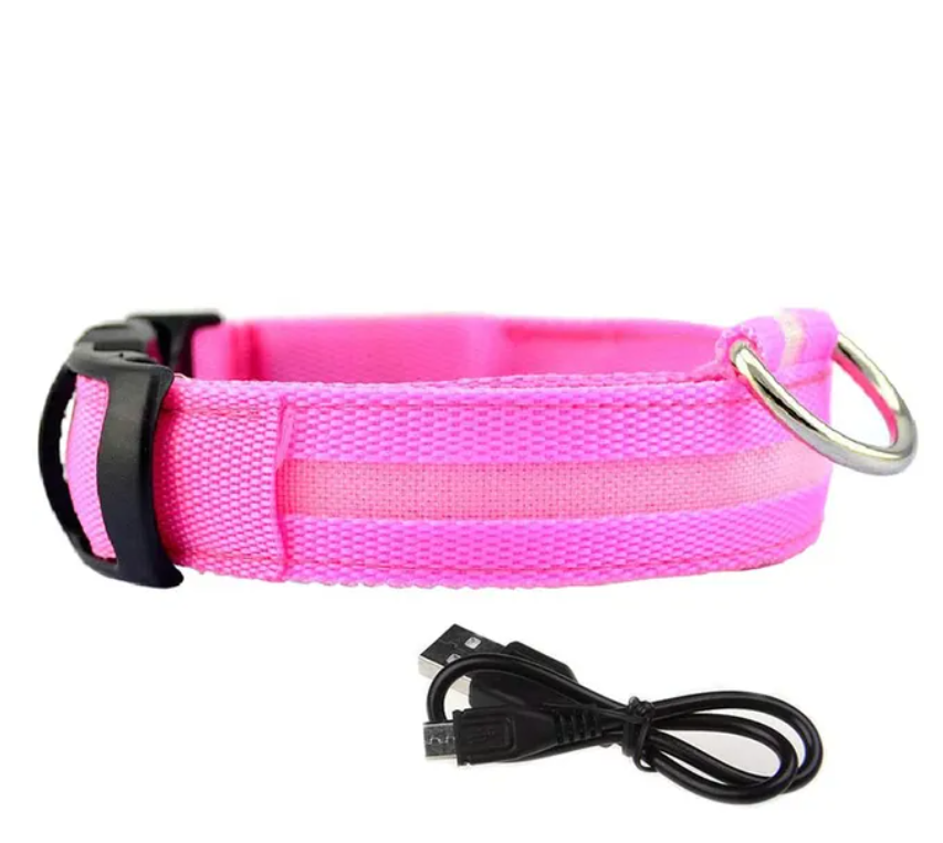 LED Safety Dog Collar