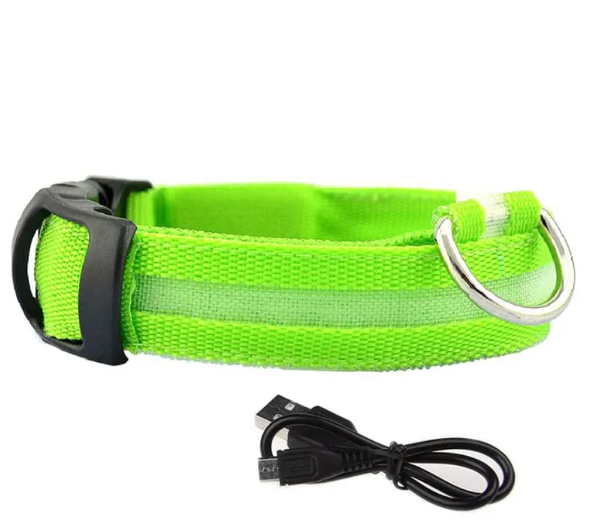 LED Safety Dog Collar