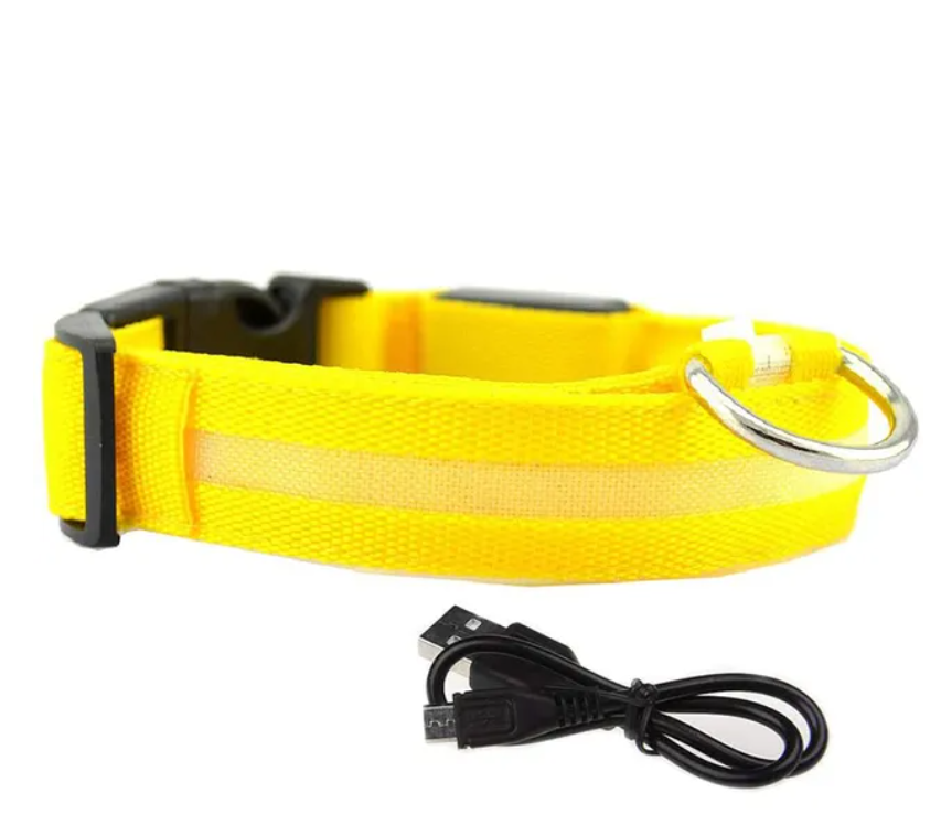 LED Safety Dog Collar