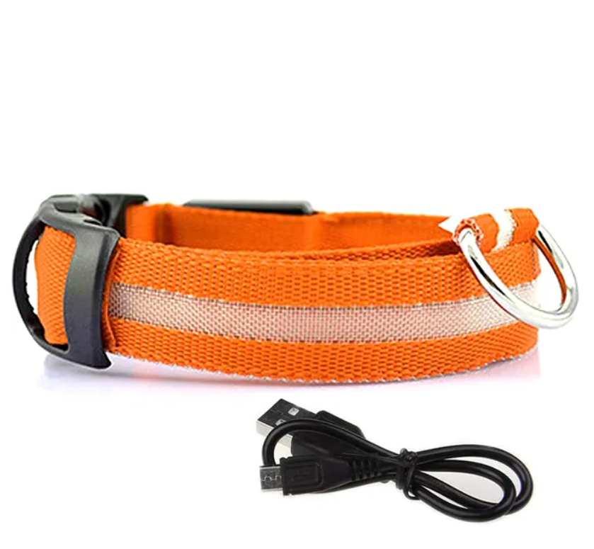 LED Safety Dog Collar