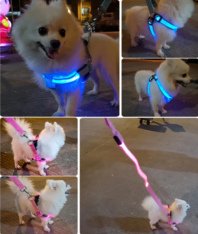 LED Safety Dog Harness Vest